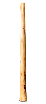 Medium Size Natural Finish Didgeridoo (TW1691)